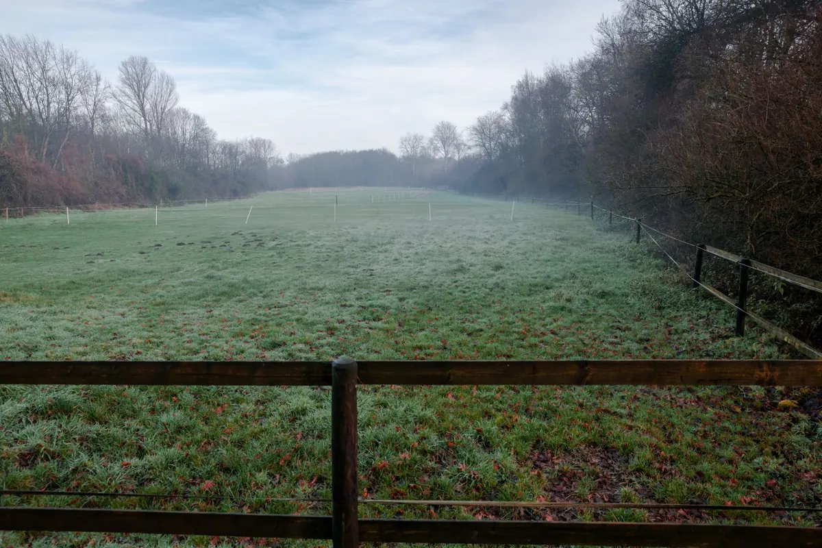 Explainer: Why Old Field Boundaries and Hedgerows Still Shape the Countryside